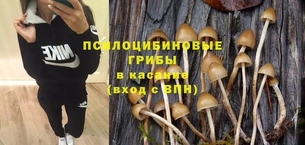 стаф Заволжье