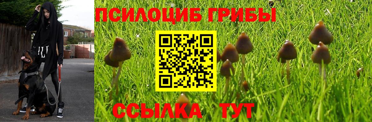 Псилоцибиновые грибы ЛСД Ишим