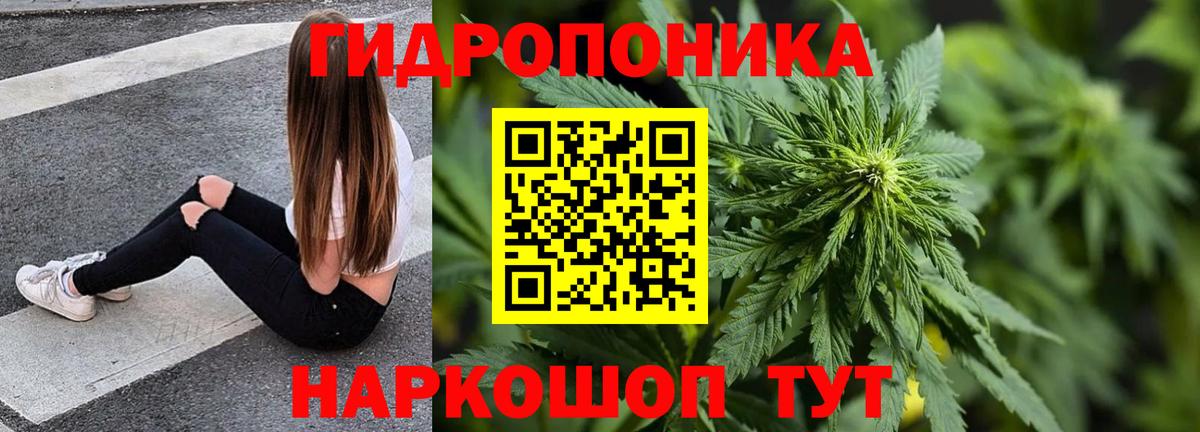 Канабис гибрид Ишим